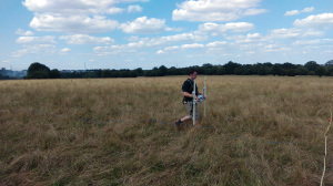 Elliot surveying the possible location of the siege camp on Basing Common using a magnetometer, with Basing House within the trees in the background